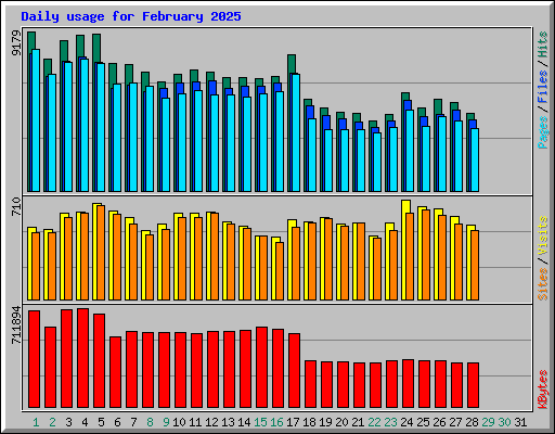Daily usage for February 2025