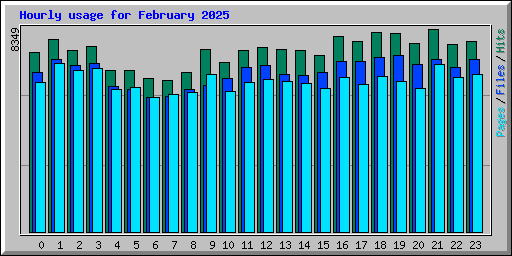 Hourly usage for February 2025