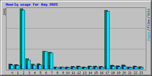 Hourly usage for May 2025