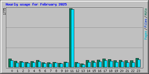 Hourly usage for February 2025