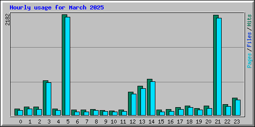 Hourly usage for March 2025